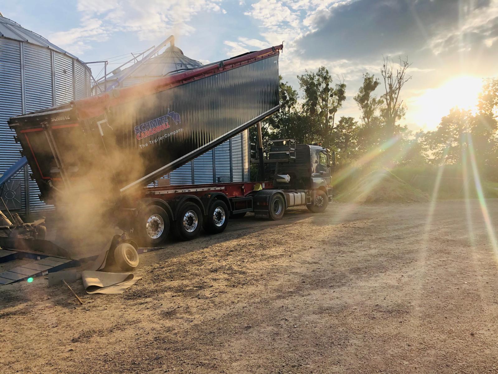 Home 5 d mfomer transporte 2